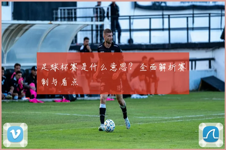 足球杯赛是什么意思？全面解析赛制与看点