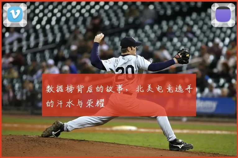 数据榜背后的故事，北美电竞选手的汗水与荣耀