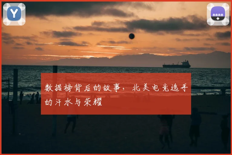 数据榜背后的故事，北美电竞选手的汗水与荣耀